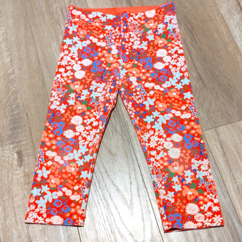 Tea Collection Floral Capris